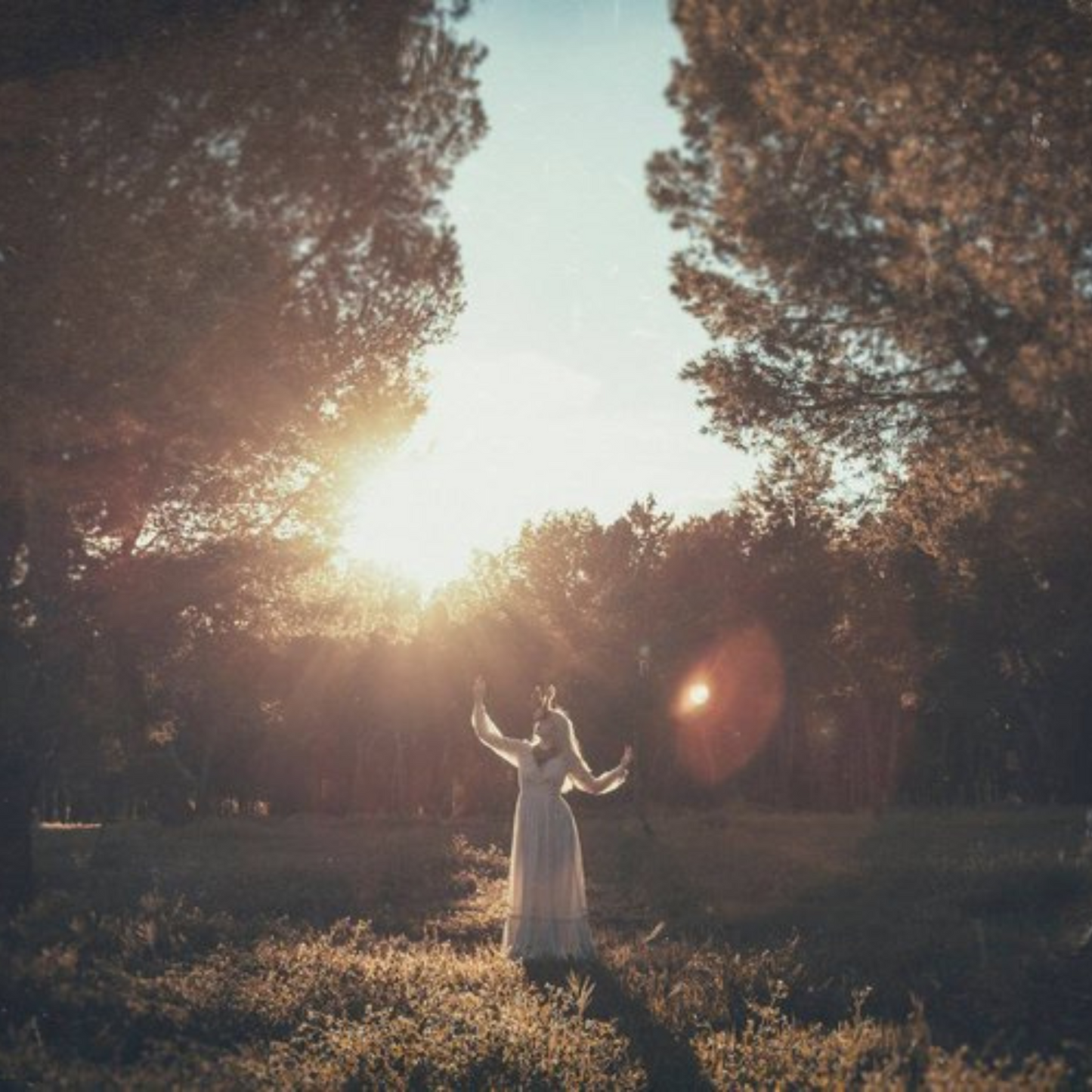 Coaching Astrológico Terapéutico: Un Viaje Guiado por los Astros hacia tu Propia Sabiduría