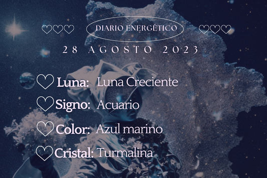 28 Agosto 2023