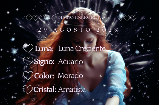 29 Agosto 2023