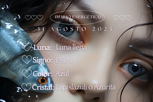 31 Agosto 2023