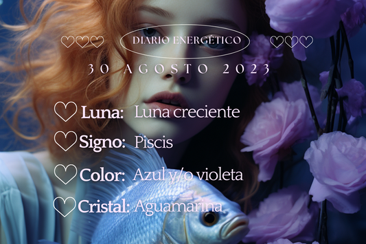 30 Agosto 2023
