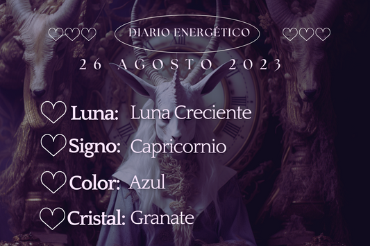 26 Agosto 2023
