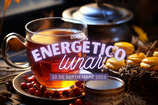 22 Septiembre 2023