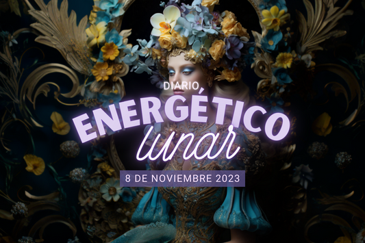 8 Noviembre 2023