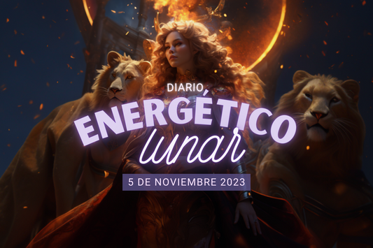 5 Noviembre 2023