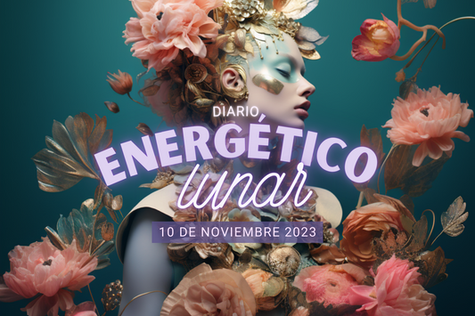 10 Noviembre 2023