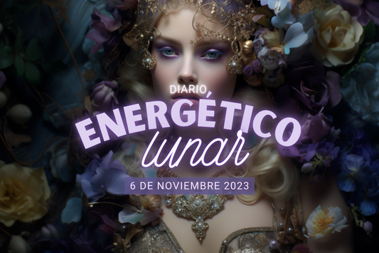 6 Noviembre 2023